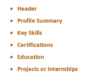 Functional format – Best for freshers or career switchers