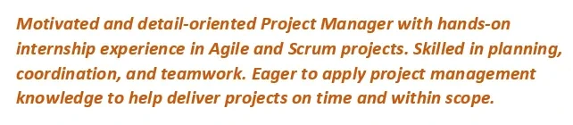 Project Manager profile example for entry-level professionals