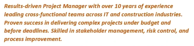 Project Manager profile samples for experienced professionals